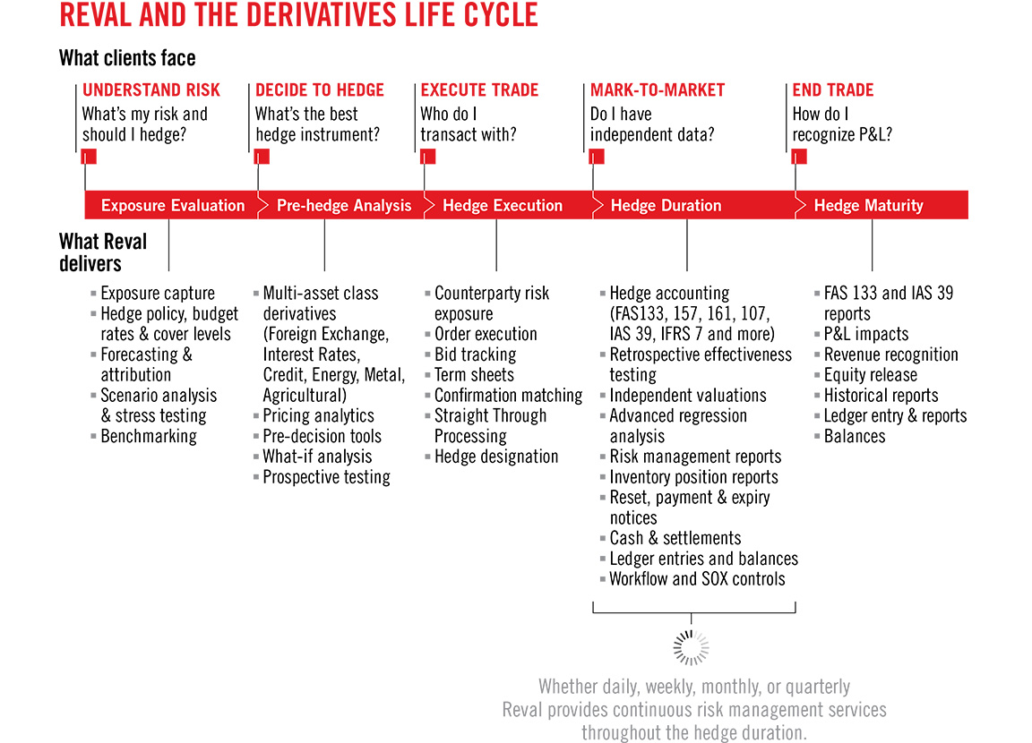 Reval branding and design derivative life cycle information graphics.