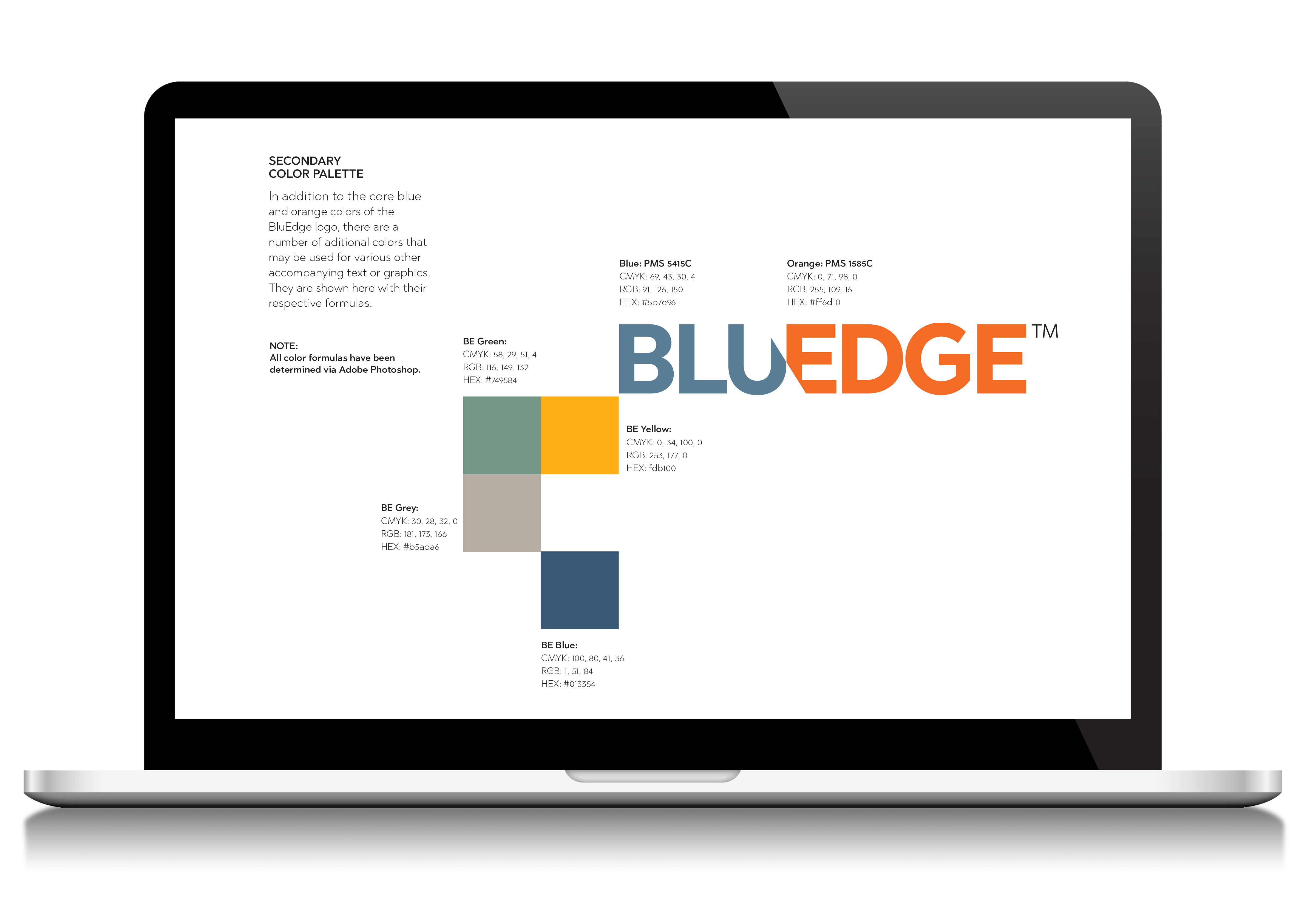 Graphic guidelines for BluEdge rebranding viewed on a laptop